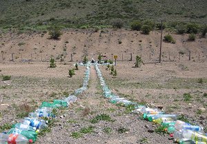  Difunta Correa