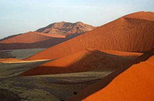 Практически вся территория Калахари занята песчаными дюнами