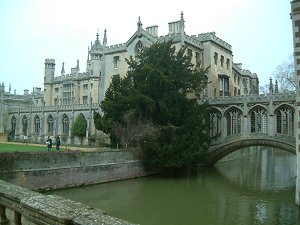 International Baccalaureate (IB)