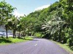 Американское Самоа - Жители Самоа не могут решить, каким ПДД подчиняться
