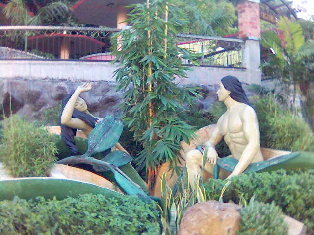    ,  -  «»,   —  — «»