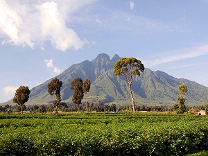   «» (Virunga National Park)