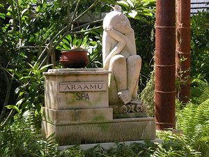   spa-    ,     .