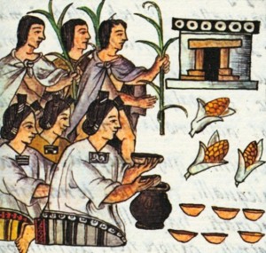    Chicome coatl