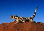 Австралия - Невероятные пейзажи и безбрежные просторы Австралии
