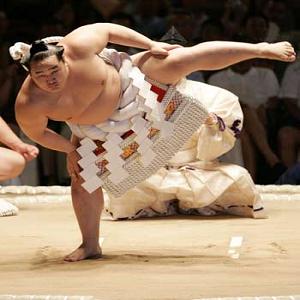   wrestler sumo