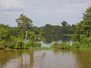 Бассейн Амазонки 