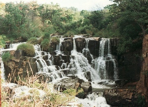 Национальный парк Ньянге занимает значительный по площади (равный 47 000 га) участок 