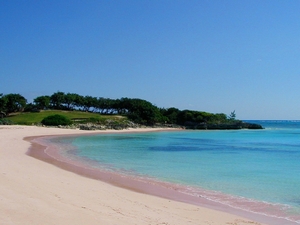 песок на пляжах Харбор имеет такой необычный розовый цвет