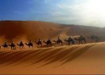 Тунис - О миражах, оазисах и соляных озерах Сахары