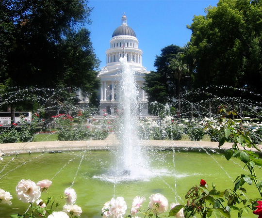        –  ,    (Capitol Park),    16 