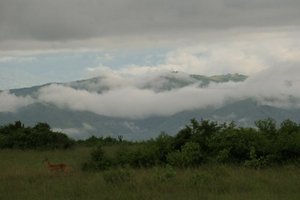 горстовый массив Рувензори (Лунные горы)