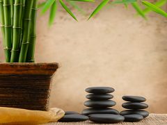    Elements Feng Shui