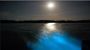  Glistening Waters   