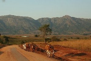 Традиционная культура свази остается очень сильной