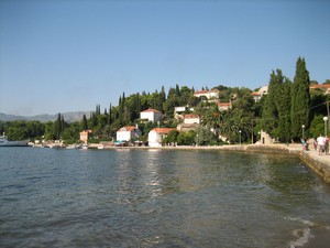     3   -  