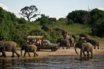 Ботсвана - Лучшее время для путешествия в Ботсвану