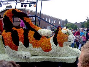 Bloemencorso