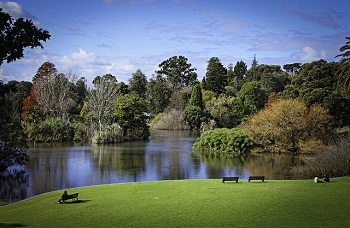 Королевский Ботанический сад в Мельбурне