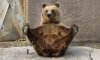   NiceBear