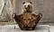   NiceBear