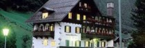 Gruner Baum
