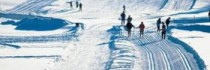 Ferienhotel Mosererhof Garni
