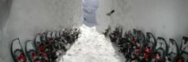 Iglu