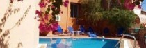 Elotia
