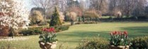Homewood Park
