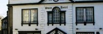 The Swan