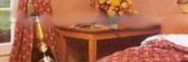 Best Western Wild Boar