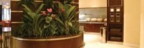 Exp By Holiday Inn Dunfermline