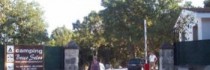 Villaggio Camping Bosco Selva