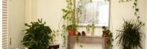 Camere Con Vista