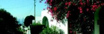 Albergo Senaria