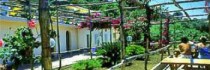 Hotel Il Girasole