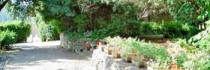 Msnrelais Ghezzi