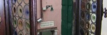 Alla Fenice