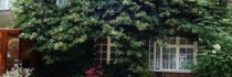 Da Vinci Guest House Gatwick