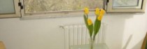 Il Tulipano