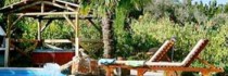 Z & X Villas