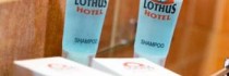 Hotel Lothus