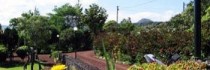 Quinta Das Acacias Guest Houses