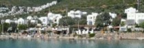 Omar Hotel