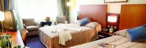 Holiday Inn Paris - Charles De Gaulle Airport