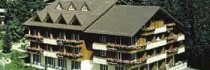 Arena Steinmattli Swiss Q Hotel