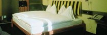 Hotel Eden