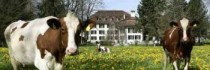 Parkhotel Schloss Hunigen