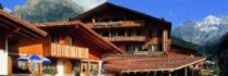 Chalet-hotel Adler